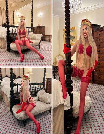 Veronica  Addington VIP Female Escort In Leinster