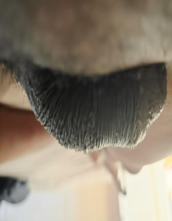 Hardy HardAfBbc  Sexy Male Escort In Stockholm