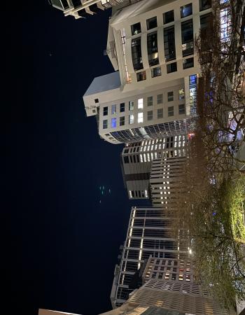 j Jennings  Sexy Male Escort In New Zealand